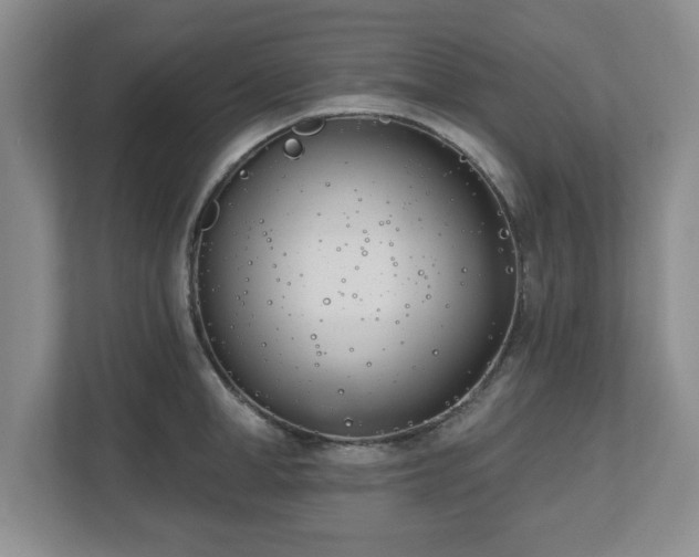 X0000112540998200908241523