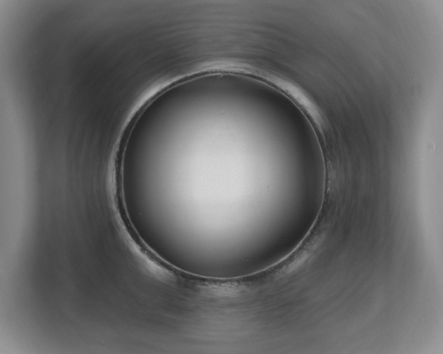 X0000112540999200908241523