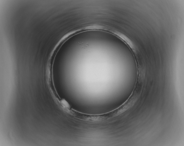 X0000112541000200908241523