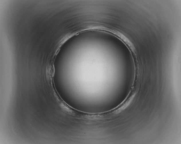X0000112541001200908241523
