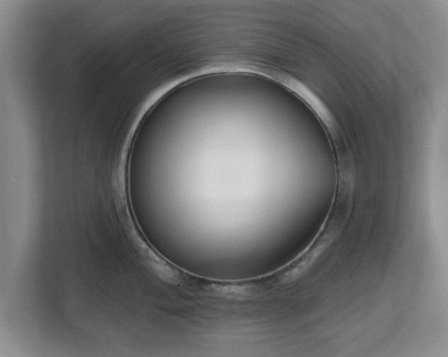 X0000112541004200908241523