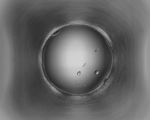X0000112541005200908241523