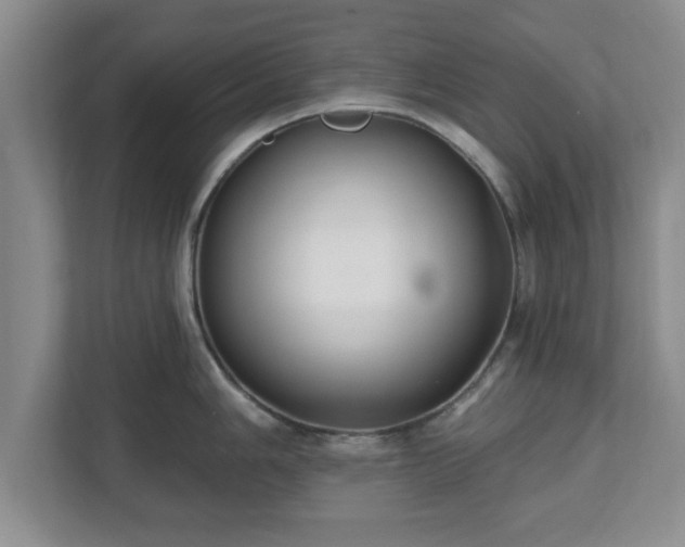 X0000112541006200908241523