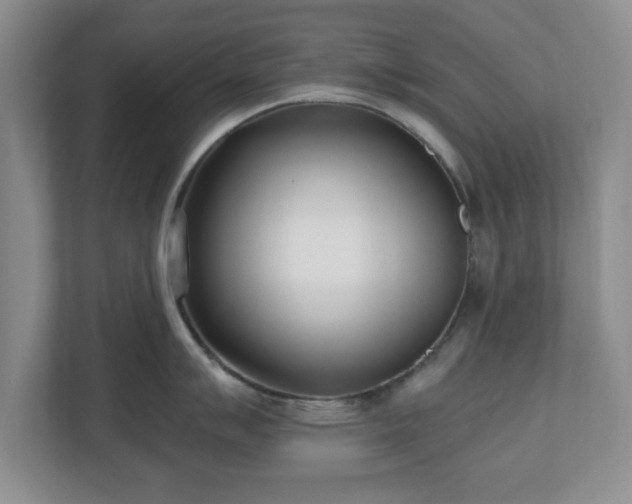 X0000112541007200908241523