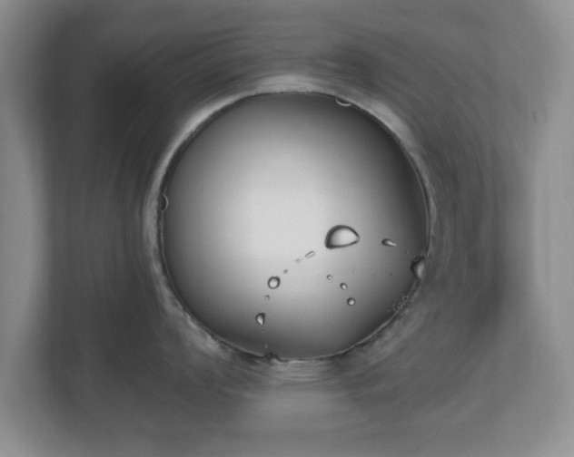 X0000112541008200908241523