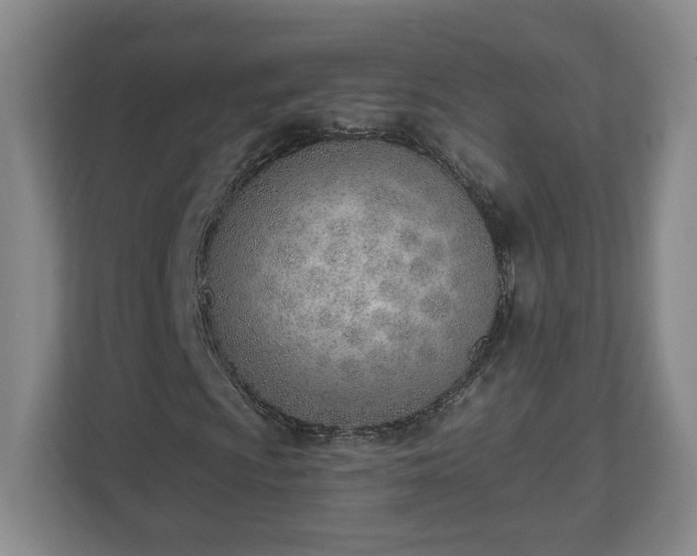 X0000112541009200908241522