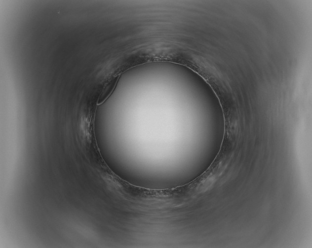 X0000112541010200908241522