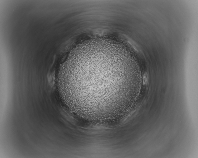 X0000112541011200908241522