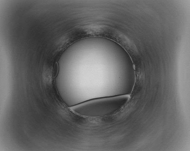 X0000112541012200908241522