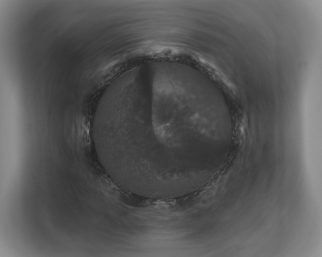 X0000112541013200908241522