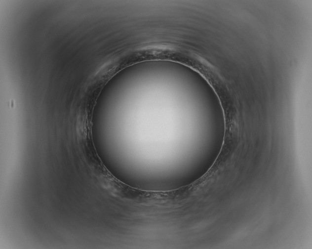 X0000112541014200908241522