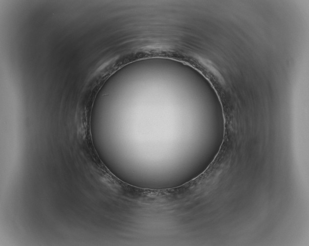 X0000112541015200908241522