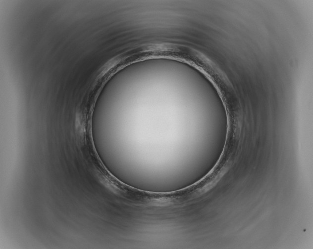 X0000112541017200908241522