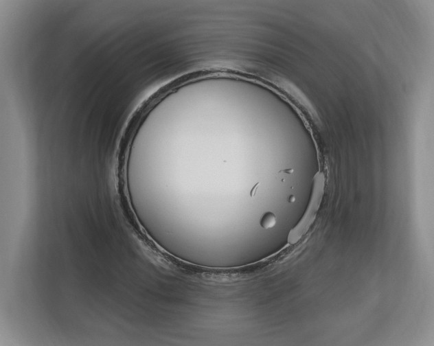 X0000112541020200908241522