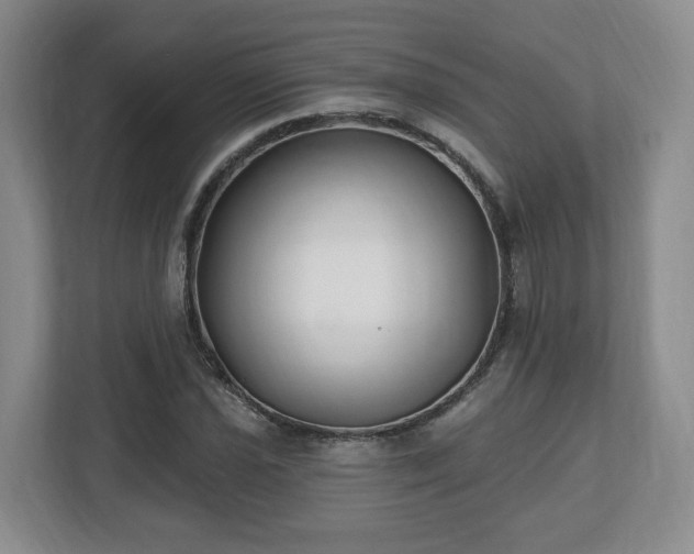 X0000112541021200908241522
