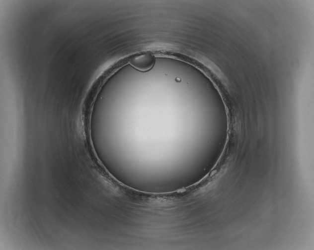 X0000112541022200908241522