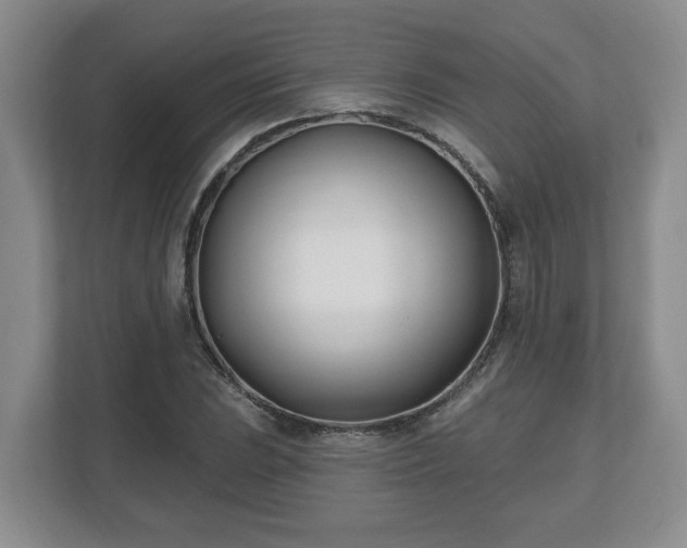 X0000112541023200908241522