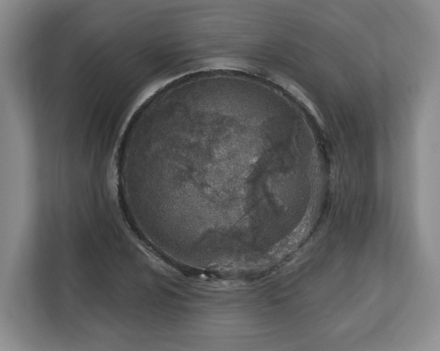 X0000112541024200908241522