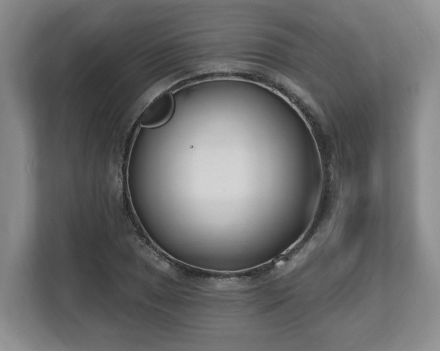 X0000112541025200908241522