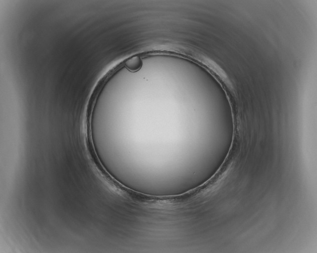 X0000112541028200908241522