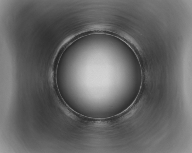 X0000112541029200908241522