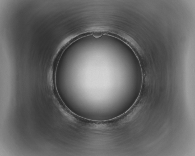 X0000112541030200908241523