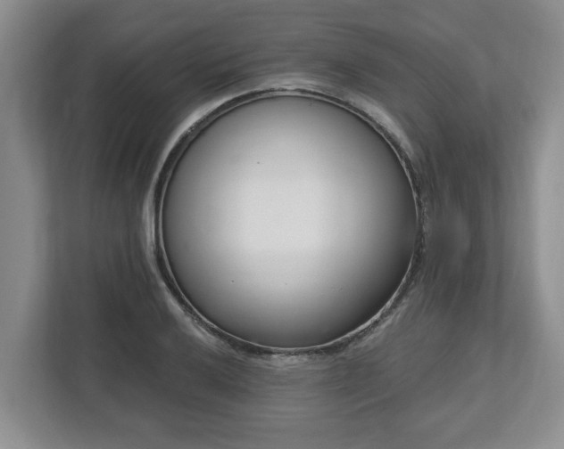 X0000112541032200908241523