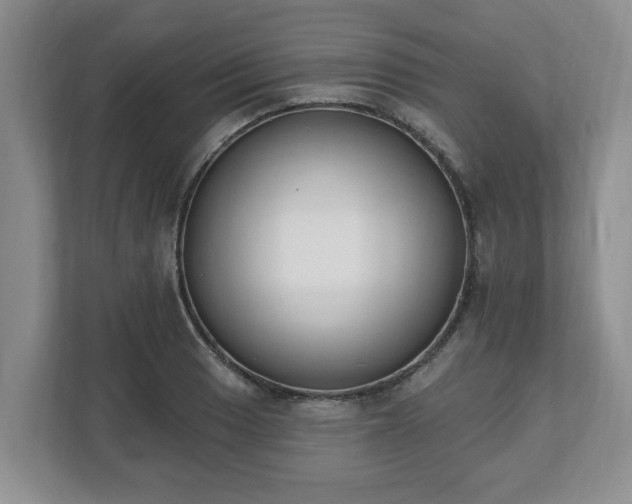 X0000112541033200908241523
