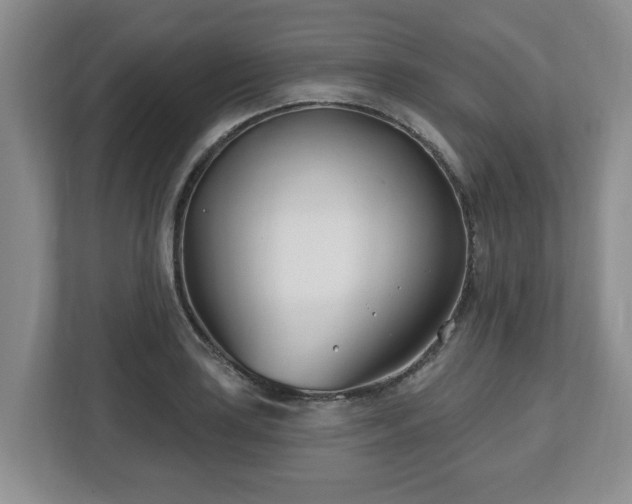 X0000112541035200908241523