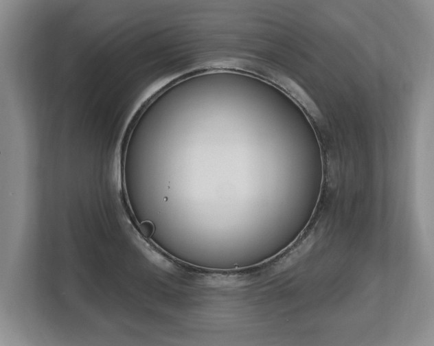 X0000112541036200908241523