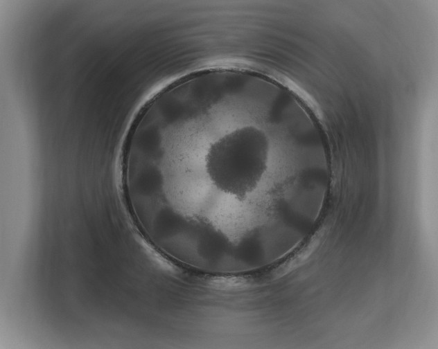 X0000112541037200908241523
