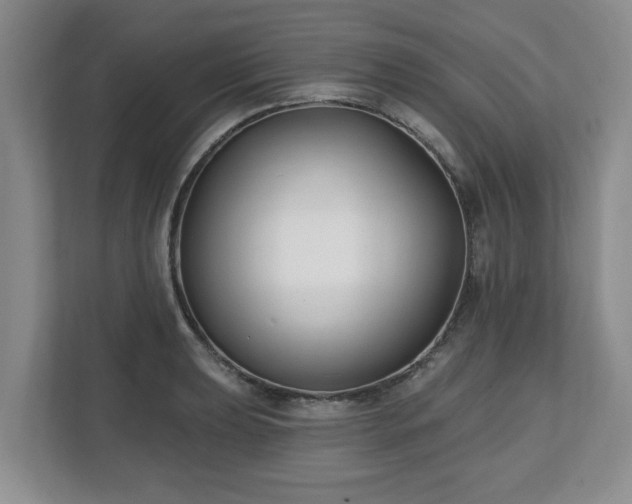 X0000112541039200908241523