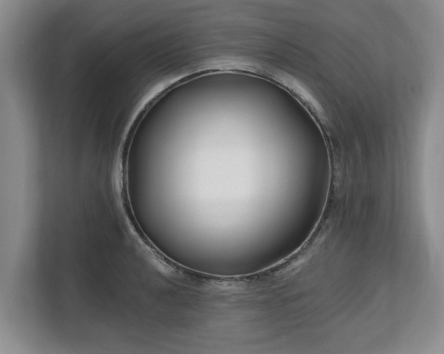 X0000112541040200908241523