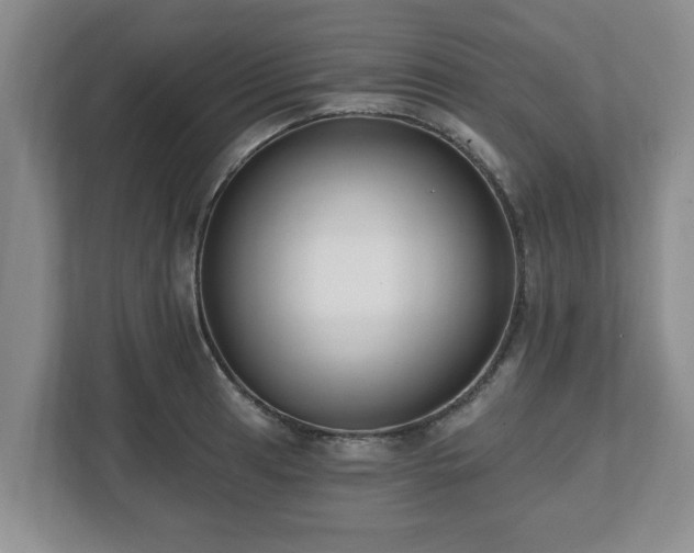X0000112541041200908241523