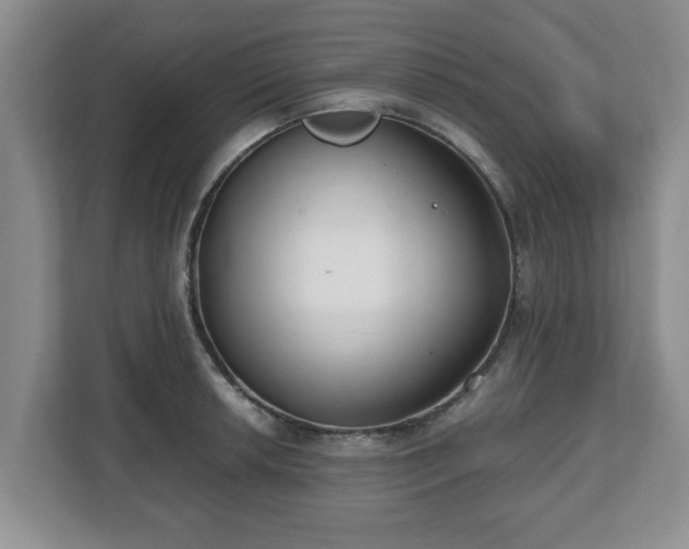 X0000112541042200908241523