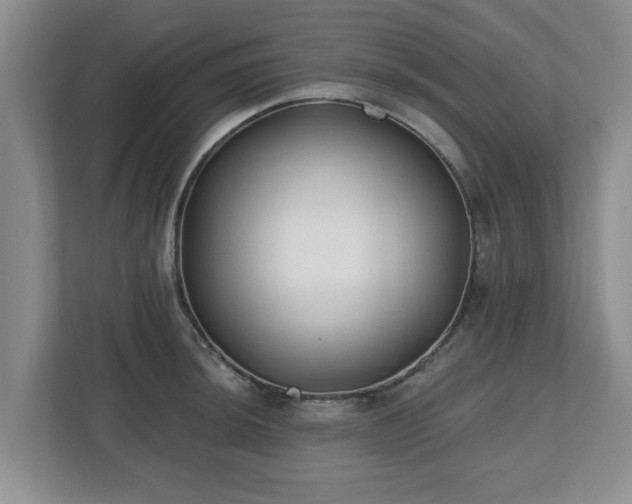 X0000112541044200908241523