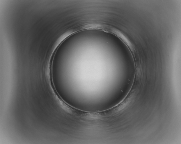 X0000112541050200908241523