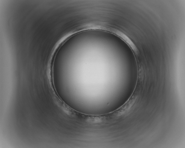 X0000112541051200908241523