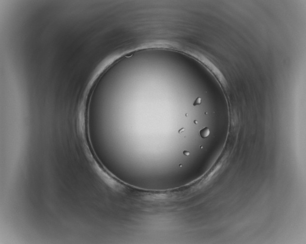 X0000112541054200908241523