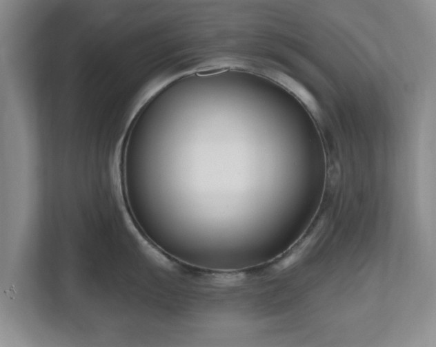 X0000112541055200908241523