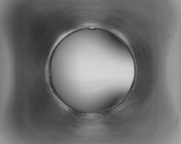 X0000112541056200908241523