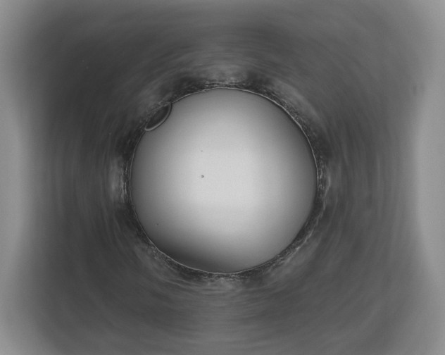 X0000112541058200908241522