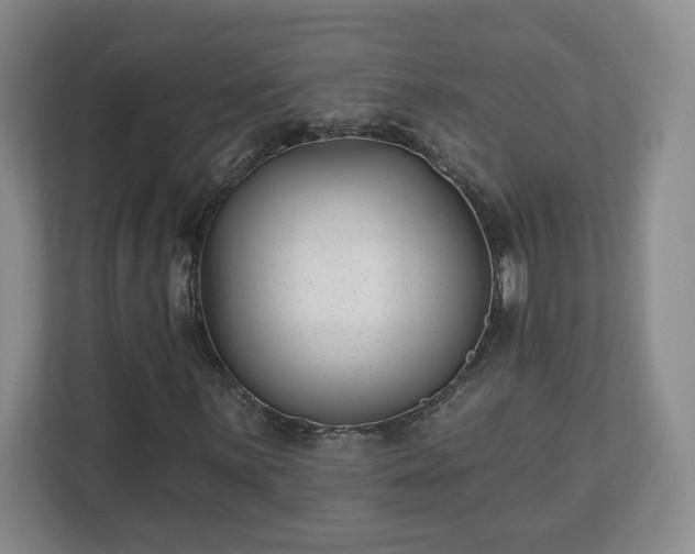 X0000112541059200908241522
