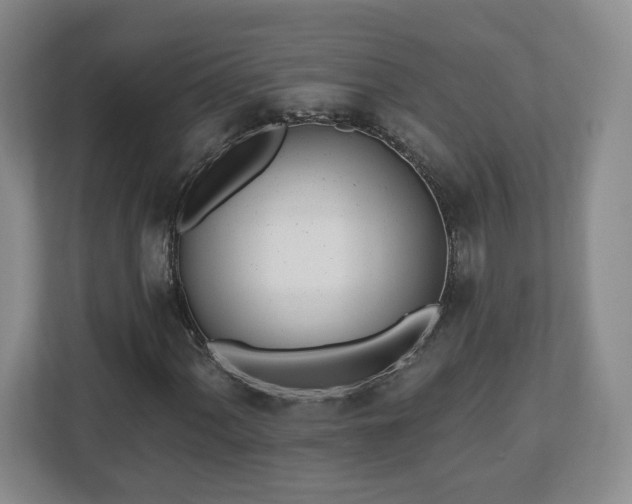 X0000112541060200908241522