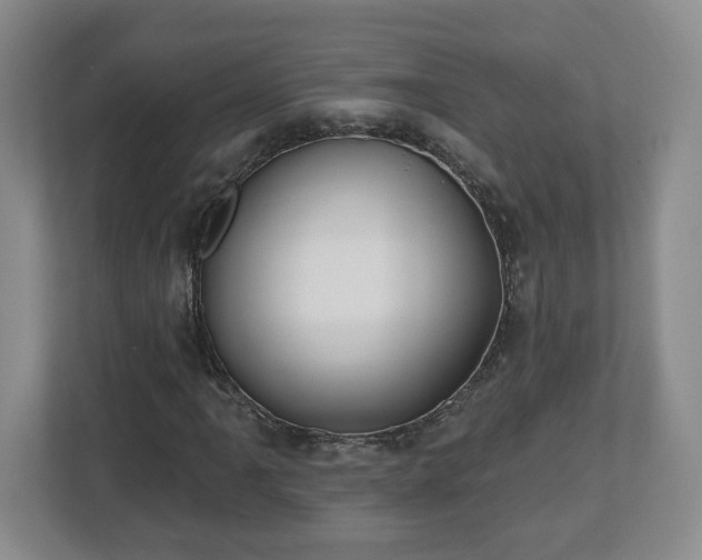 X0000112541061200908241522