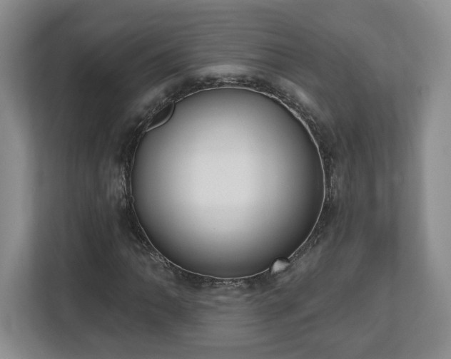 X0000112541062200908241522