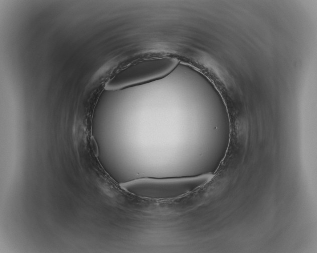 X0000112541064200908241522
