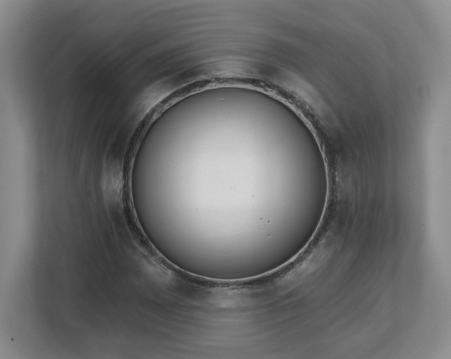 X0000112541065200908241522