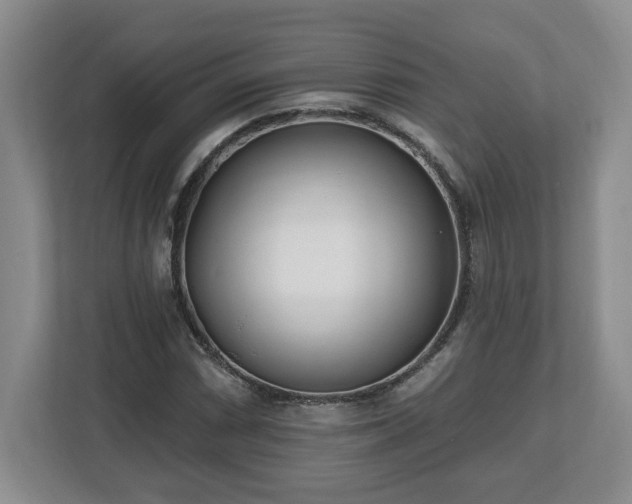 X0000112541066200908241522