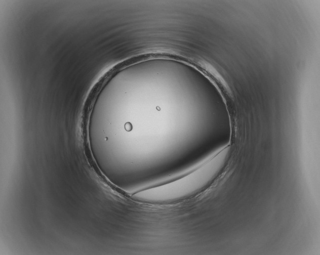 X0000112541068200908241522